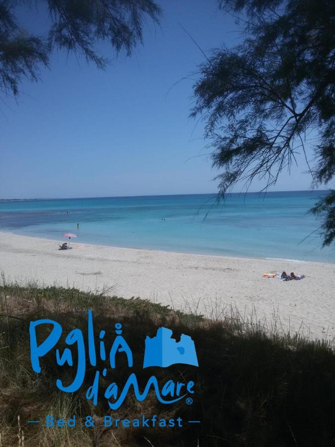 B&B Puglia D'Amare Lizzano  Eksteriør bilde