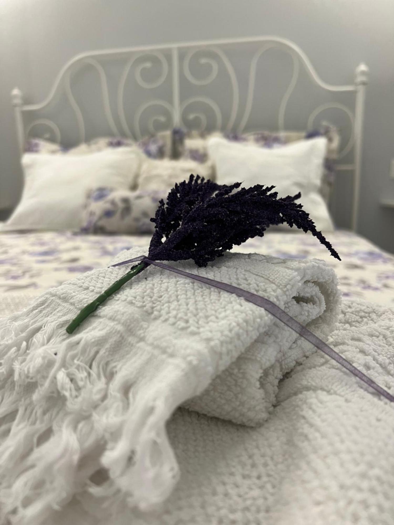 B&B Puglia D'Amare Lizzano  Rom bilde